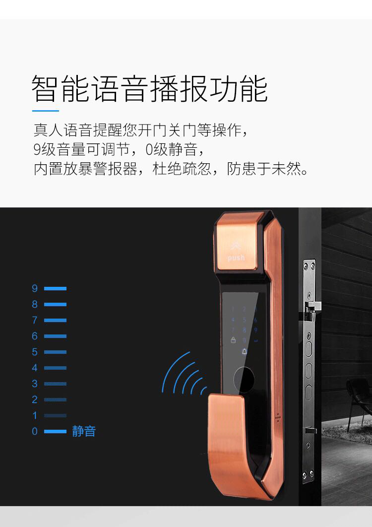 LY-S-Z100 全自(zì)動指紋鎖