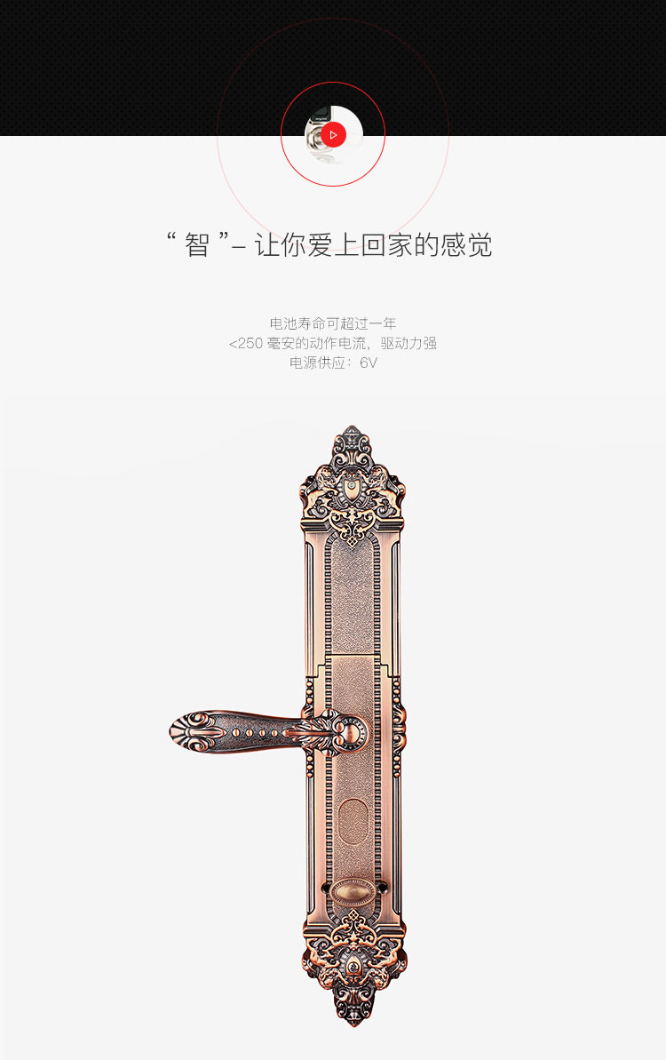 中式大(dà)拉手别墅指紋防盜門(mén)鎖